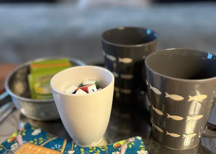 Les Transats Et Face A La Guest house