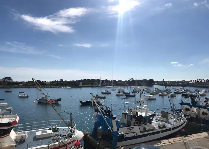 Les Transats Et Face A La